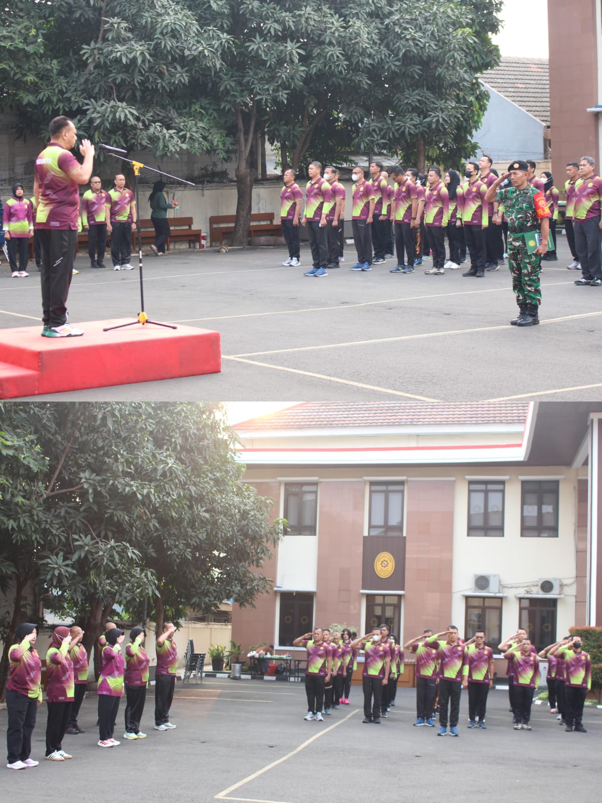 Pertandingan Ekshibisi