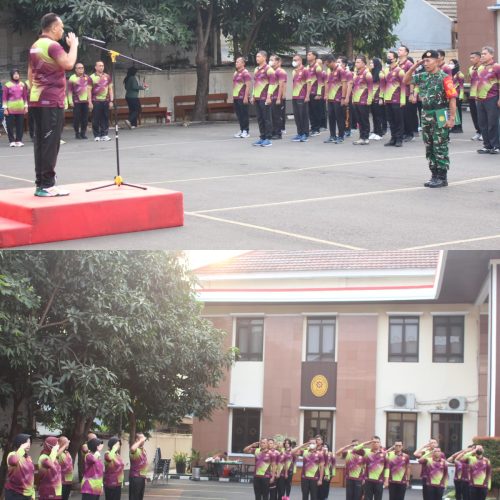 Pertandingan Ekshibisi